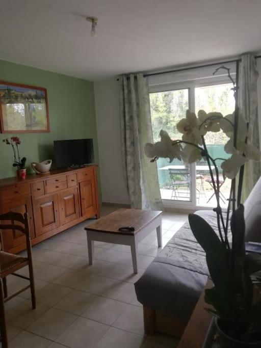 Appartement Avignon Garage-Spacieuse Terrasse Dış mekan fotoğraf